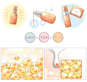 基礎化粧品の美容系イラスト