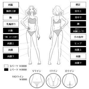女性の脱毛メニュー